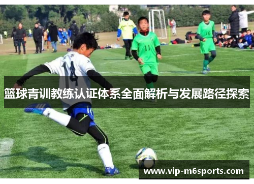 篮球青训教练认证体系全面解析与发展路径探索