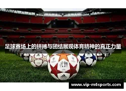 足球赛场上的拼搏与团结展现体育精神的真正力量